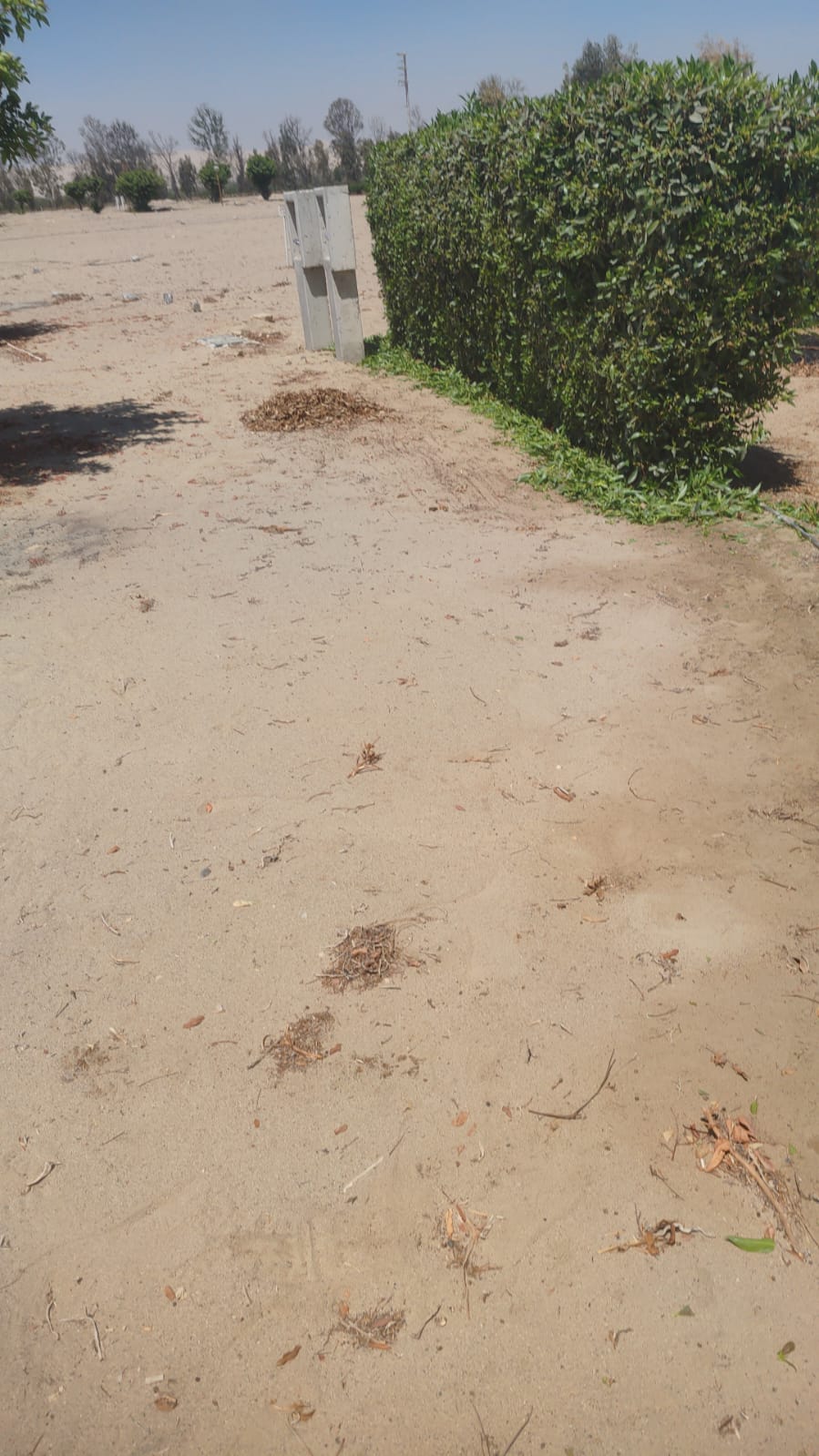 Terreno en Condominio Eucaliptos del Valle   - ICA  1,850m2