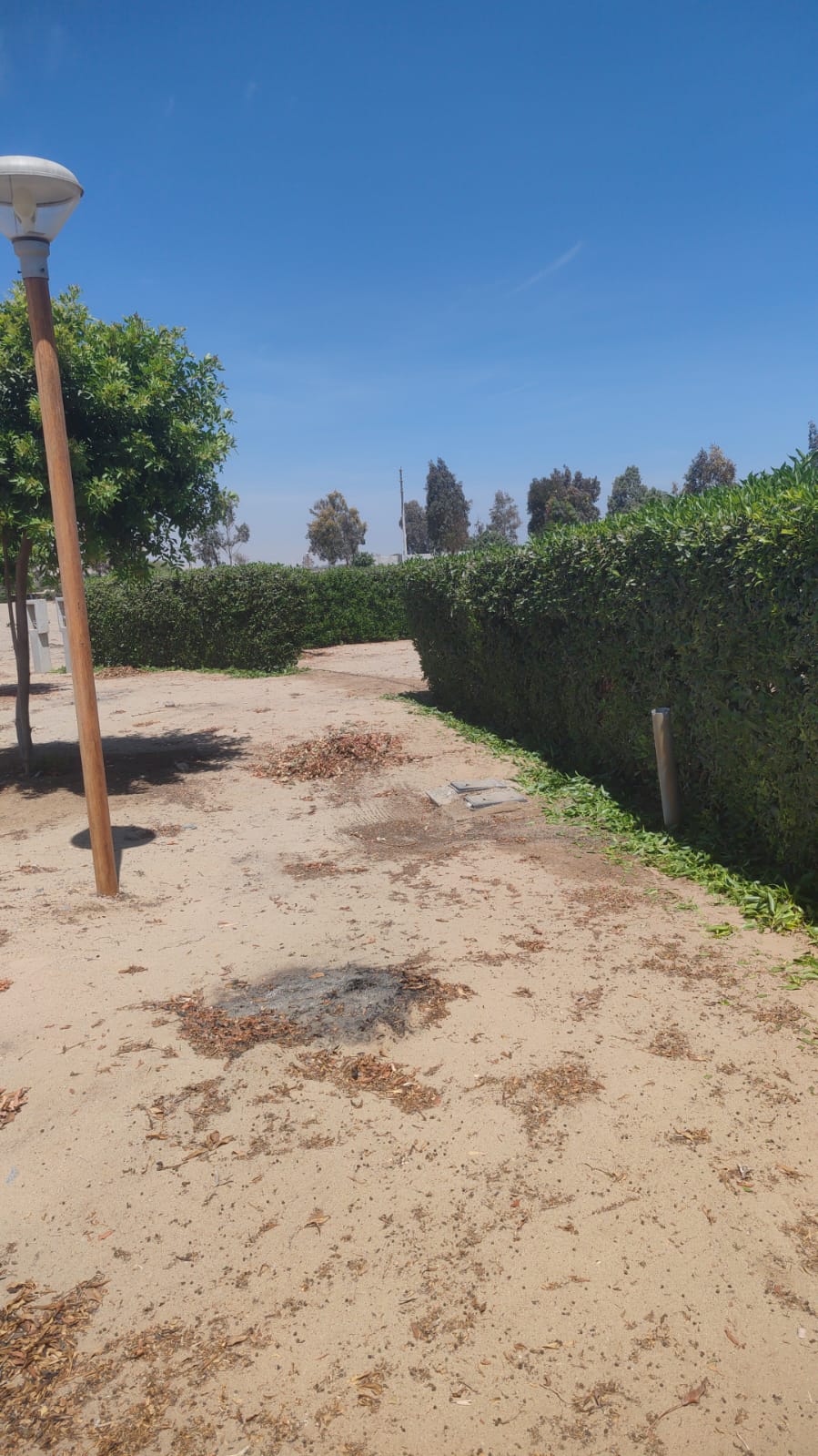 Terreno en Condominio Eucaliptos del Valle   - ICA  1,850m2