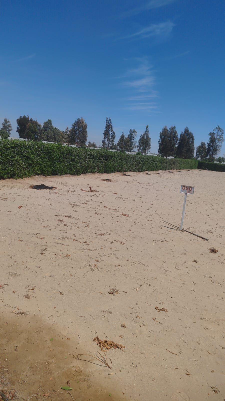 Terreno en Condominio Eucaliptos del Valle   - ICA  1,850m2