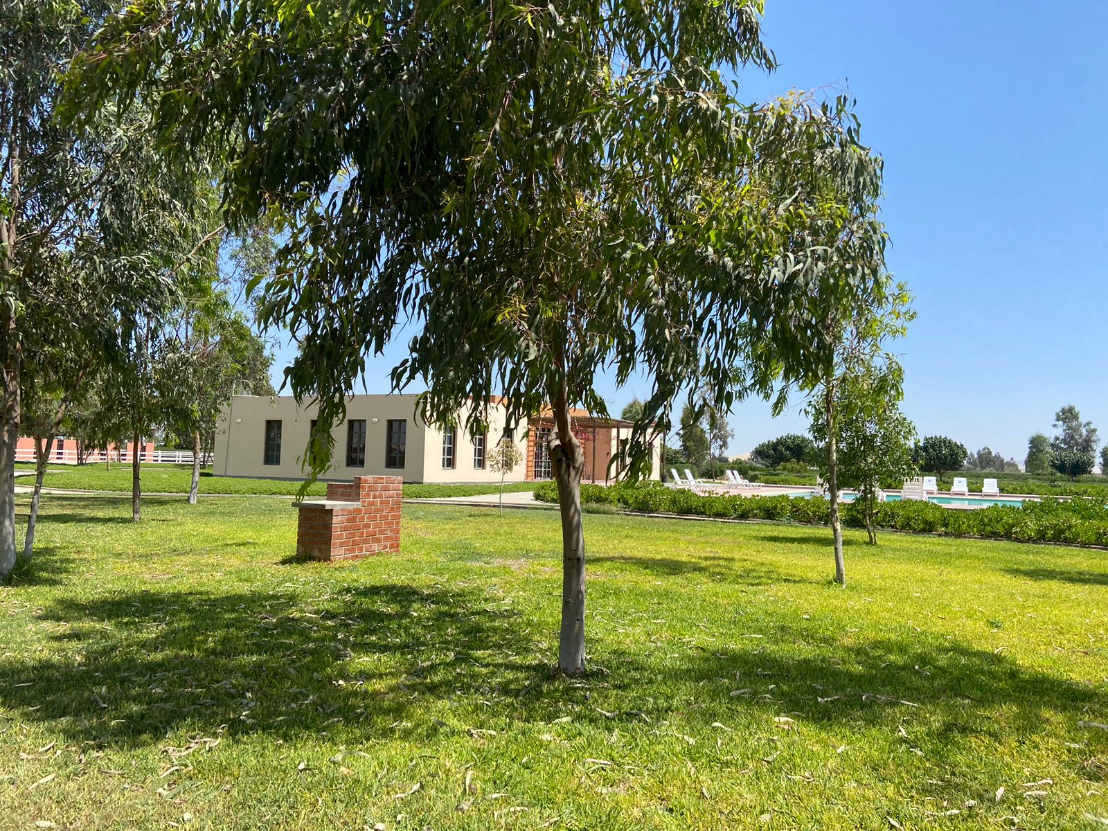 Terreno en Condominio Eucaliptos del Valle   - ICA  1,850m2