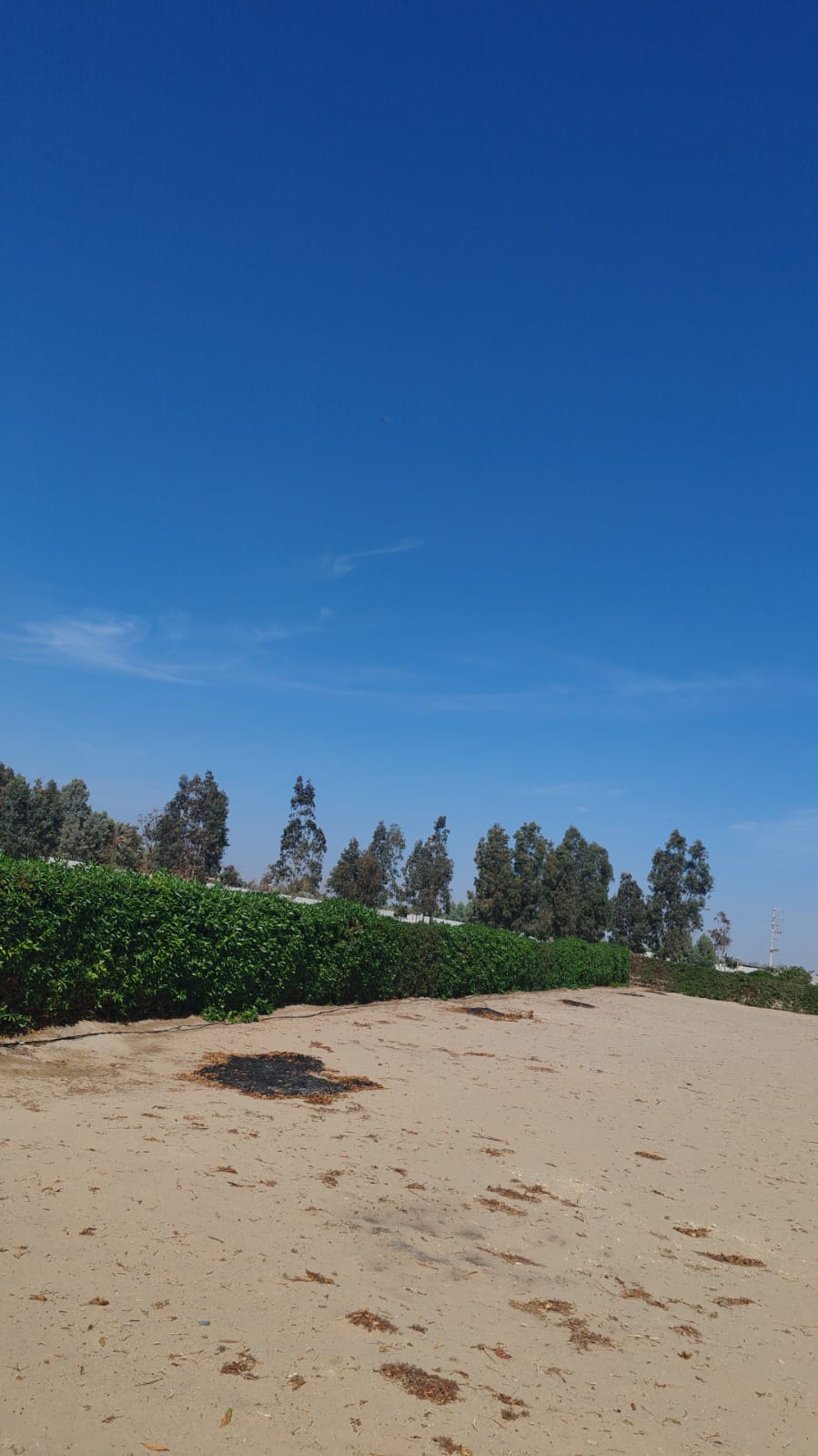 Terreno en Condominio Eucaliptos del Valle   - ICA  1,850m2